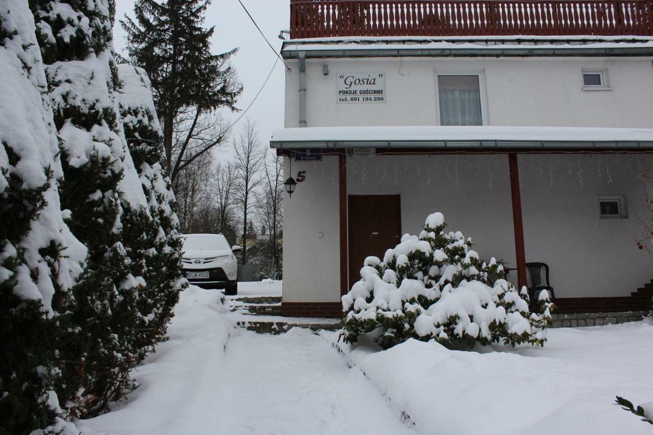 Pokoj Kameralny- De Luxe Z Oddzielnym Wejsciem Karpacz Exterior foto